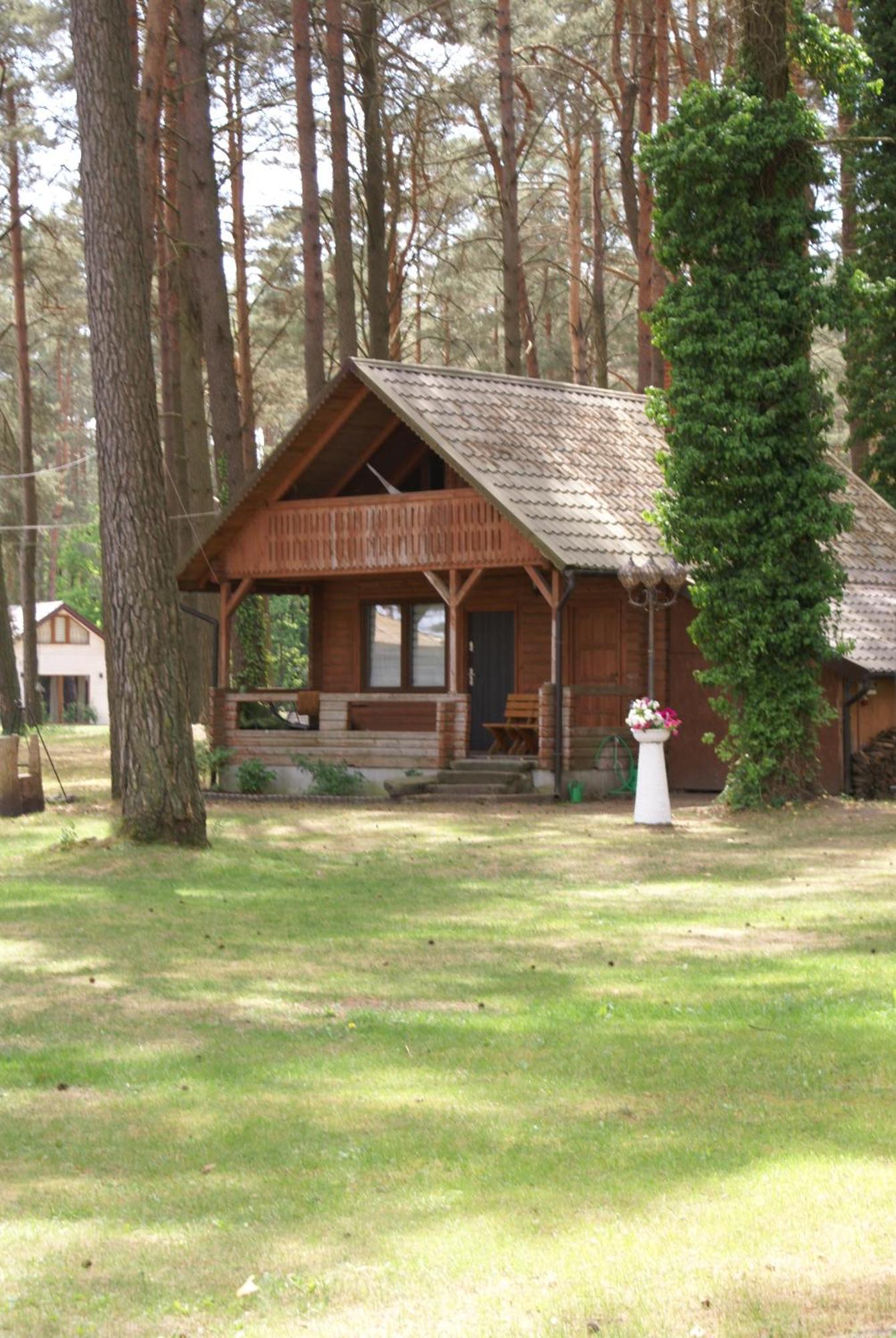 Mazurski Osrodek Szych Bogusze Екстериор снимка